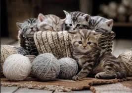 76-00939 1500 pcs, Boules de poils et pelotes