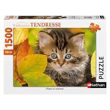 76-00945 1500 pcs, Chaton en automne