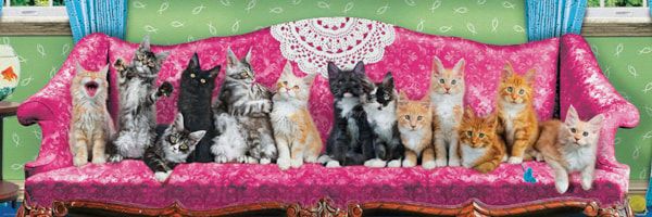 6010-5629 Kitty Cat Couch