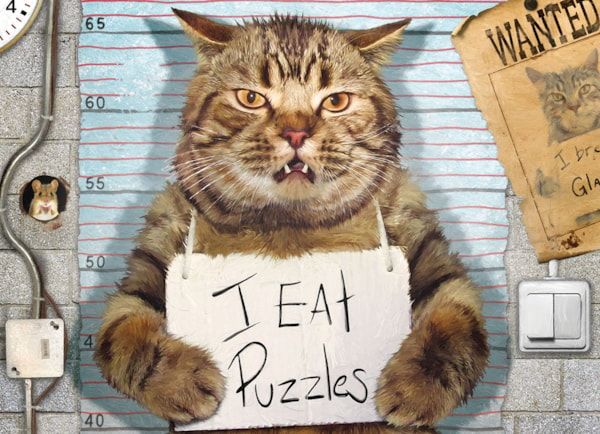 8500-5786 Felony Cat by Paul Normand