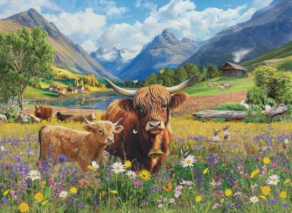 6000-6093 Highland Cows