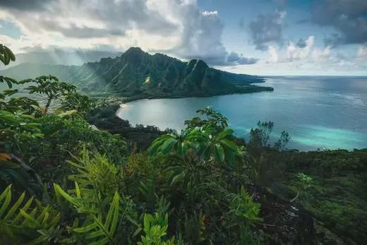 16106 Hawaiian Viewpoint 5000 Pc Puzzle