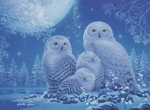 12000479 Owls in the Moonlight 500 pc glow GITD Puzzle