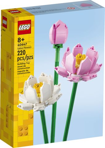 40647 Lotus Flowers CS PK 4