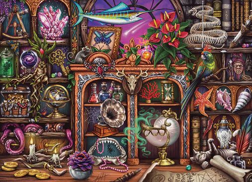 45133 Cabinet of Curiosities