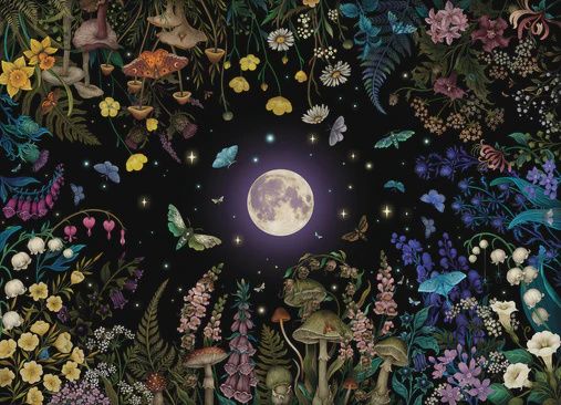 45123 Night Garden