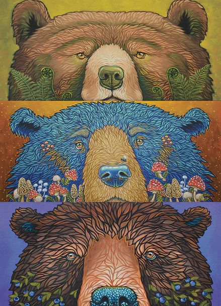 45134 Bear Eyes: Harvest
