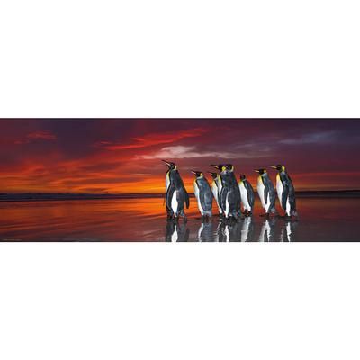 78-29858 1000 pcs, King Penguins, AVH