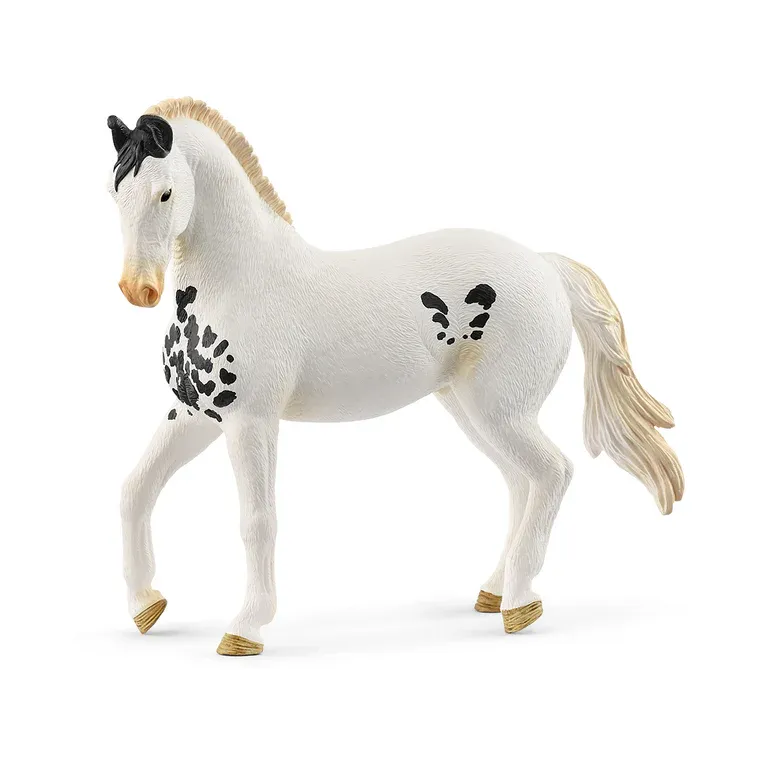 14898 Marwari Stallion