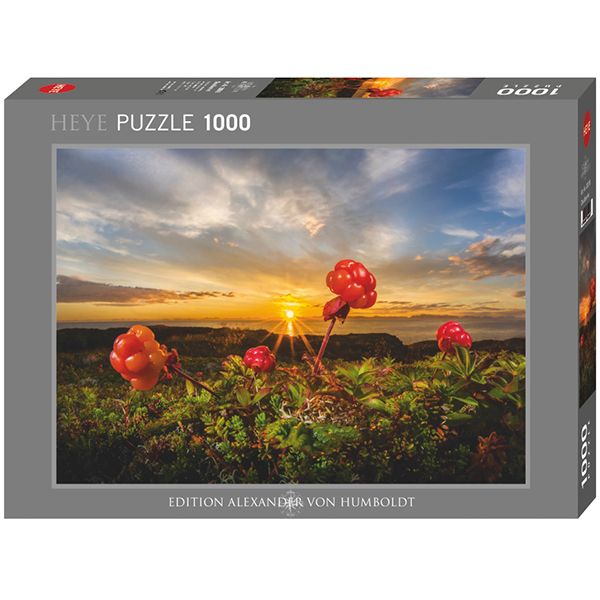 78-30016 1000 pcs, Cloudberries, AVH