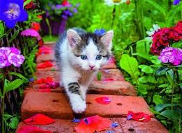 76-00968 500 pcs, Kitten in the Garden / JL Klein &amp; ML Hubert