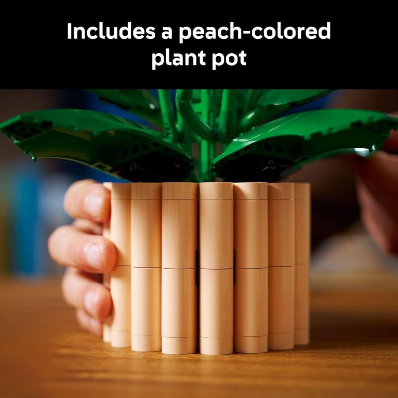 11504 Peace Lily CS PK 3