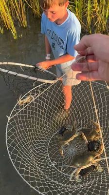 Traps &amp; Nets
