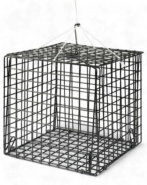 FJ Neil Snap Trap Crab Trap