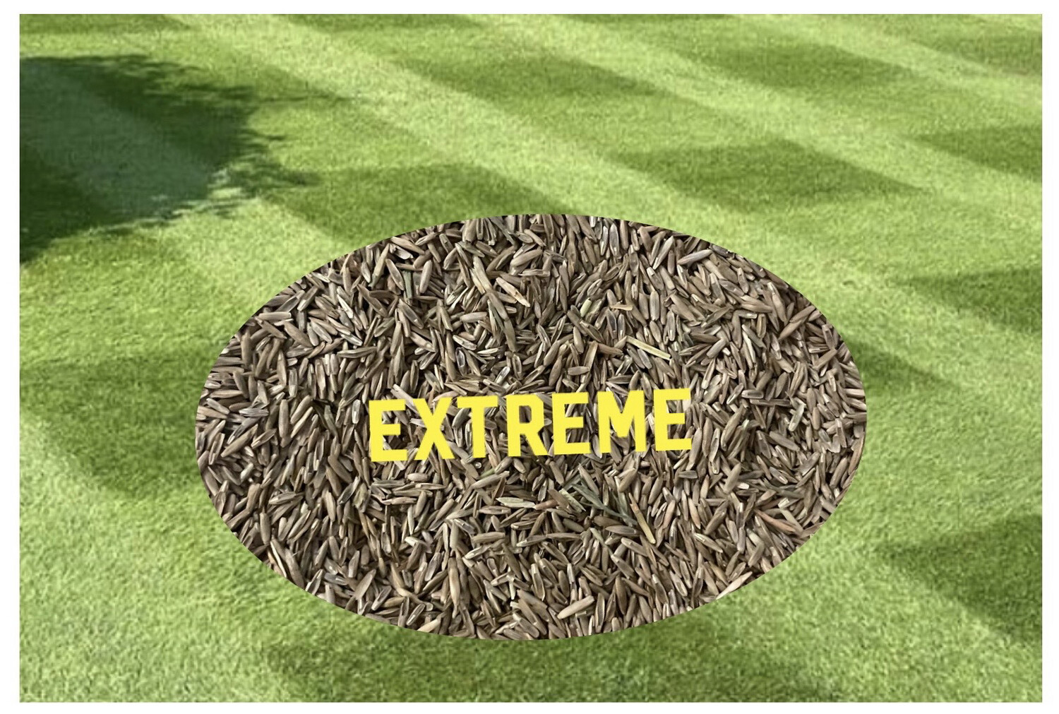 EXTREME Grass Seed 2kg (Covers 80130m2)