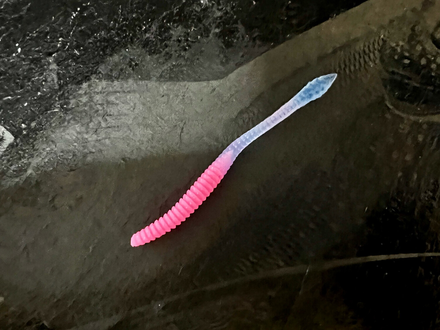 KNUT - Bubblegum/Magic-Blue
