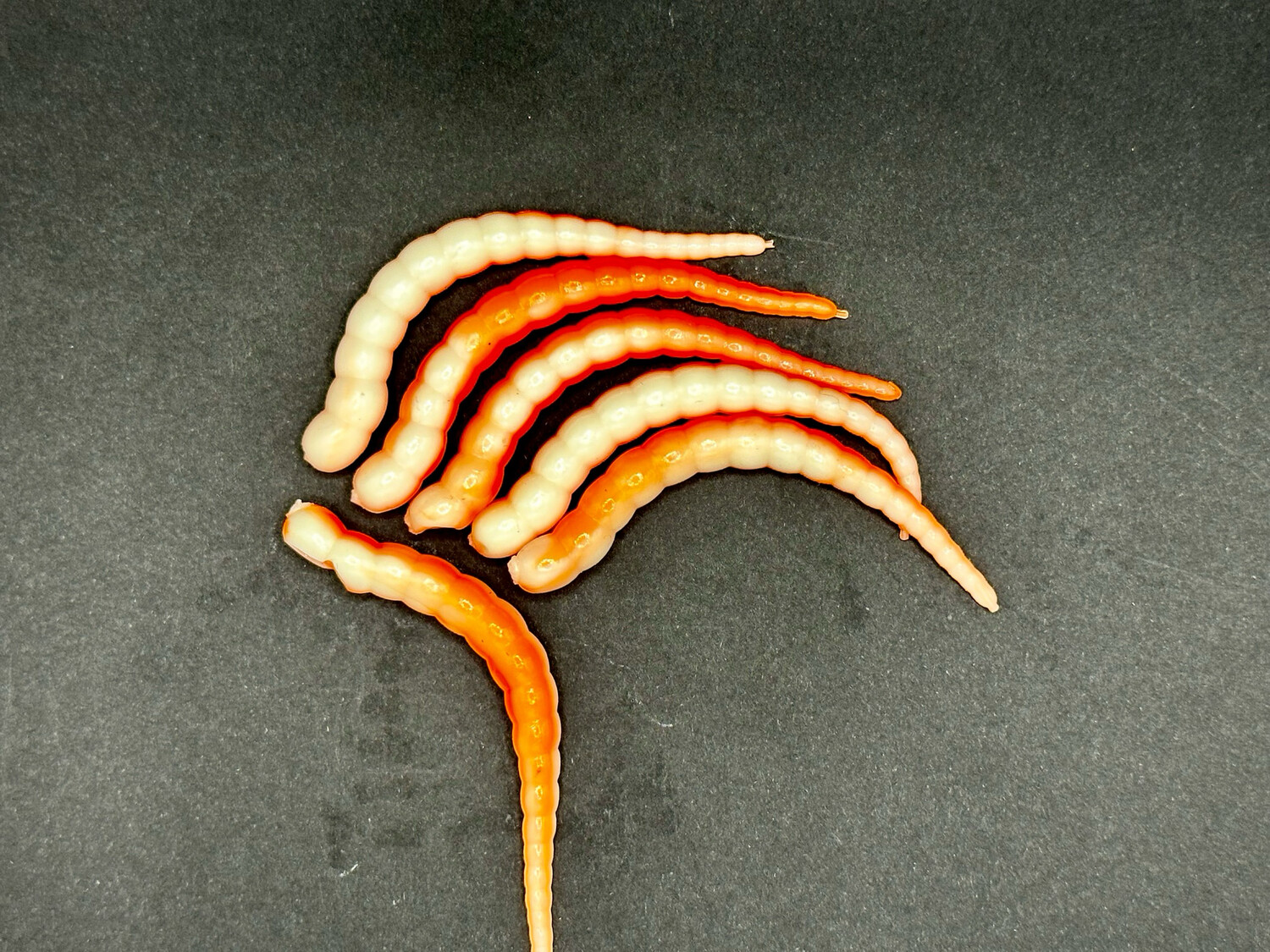RACKER - Sweet Orange