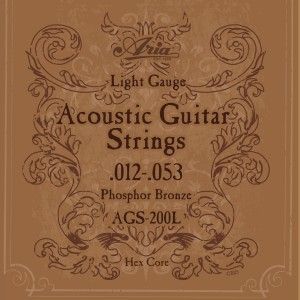 AGS 200L  For Acoustic Guitars