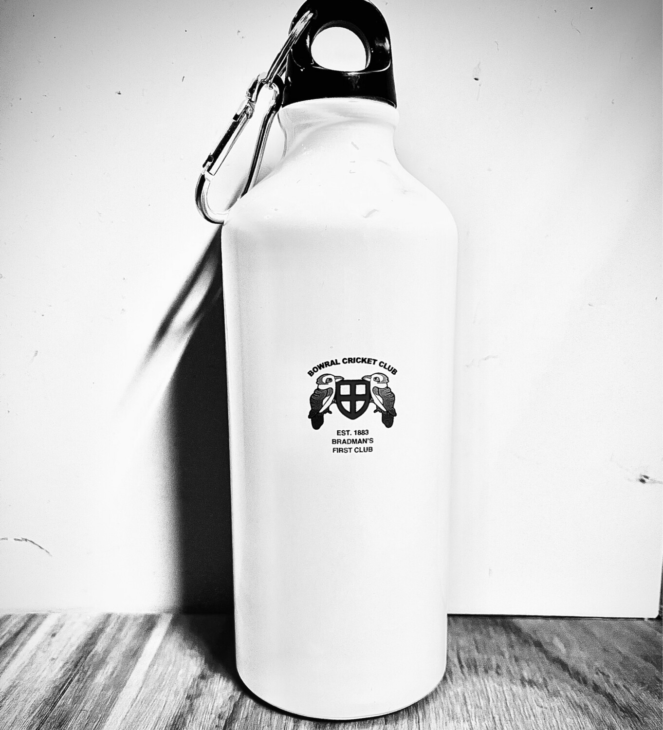 Stainless Steel Water Bottle