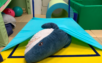 Lycra Bed Tube 壓力床套 - Length 5 feet, Width 3 feet