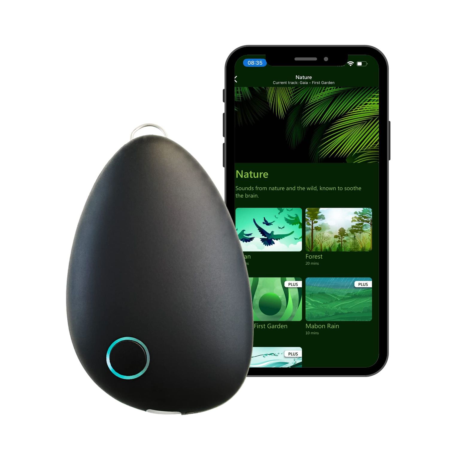 Sensate Relaxation Device