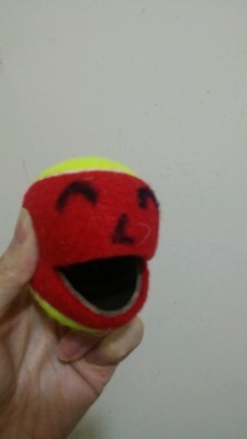 Kids' Tennis Ball (36' Tennis Court Use / without Cutting) 小童網球 (36'網球場用 / 未剪口)