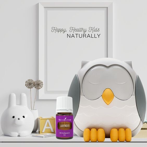 Feather The Owl Diffuser