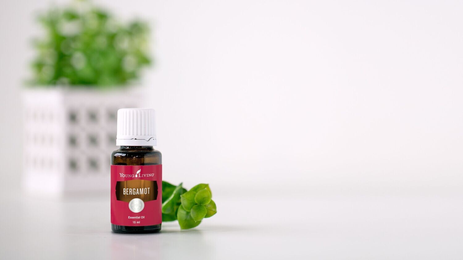 Bergamot 15ml
