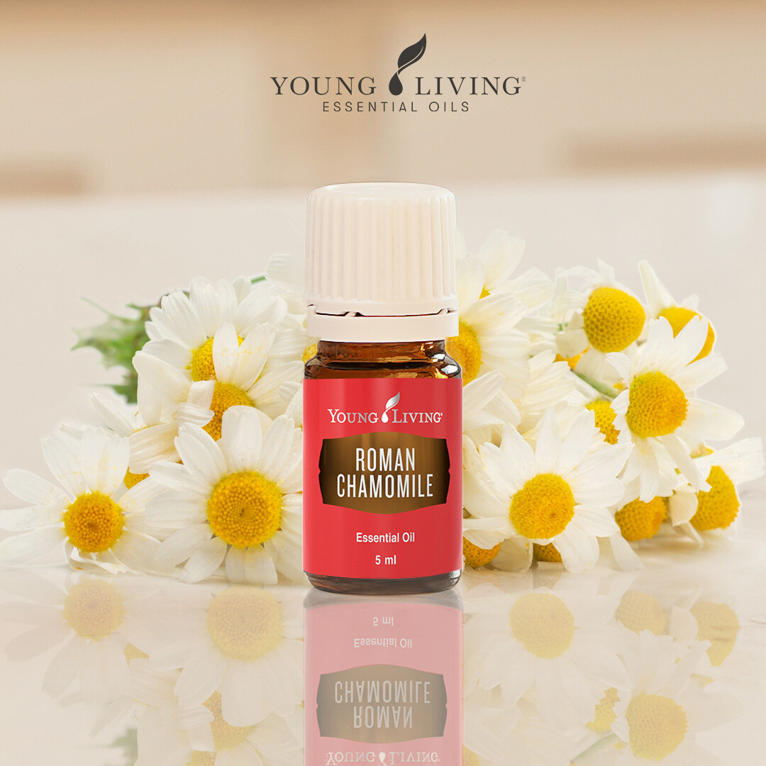 Roman Chamomile 5ml