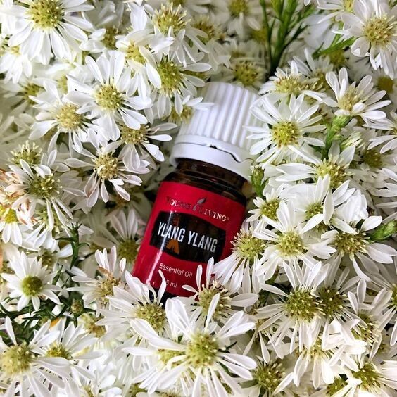 Ylang Ylang 5ml