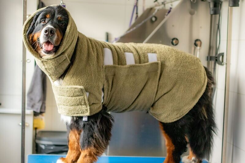 ACTIE Stockverkoop Badjas voor thuis