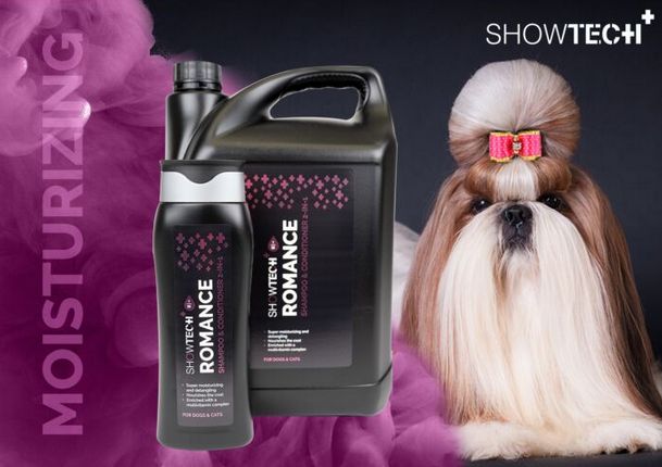 SET LUXE Shampoo 2-in-1 300ml