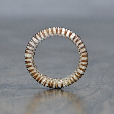 Palomino Ring (Available Today)