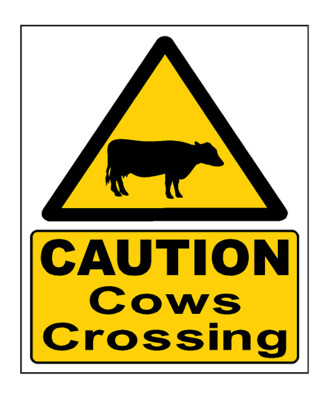Caution Cows Crossing Sign