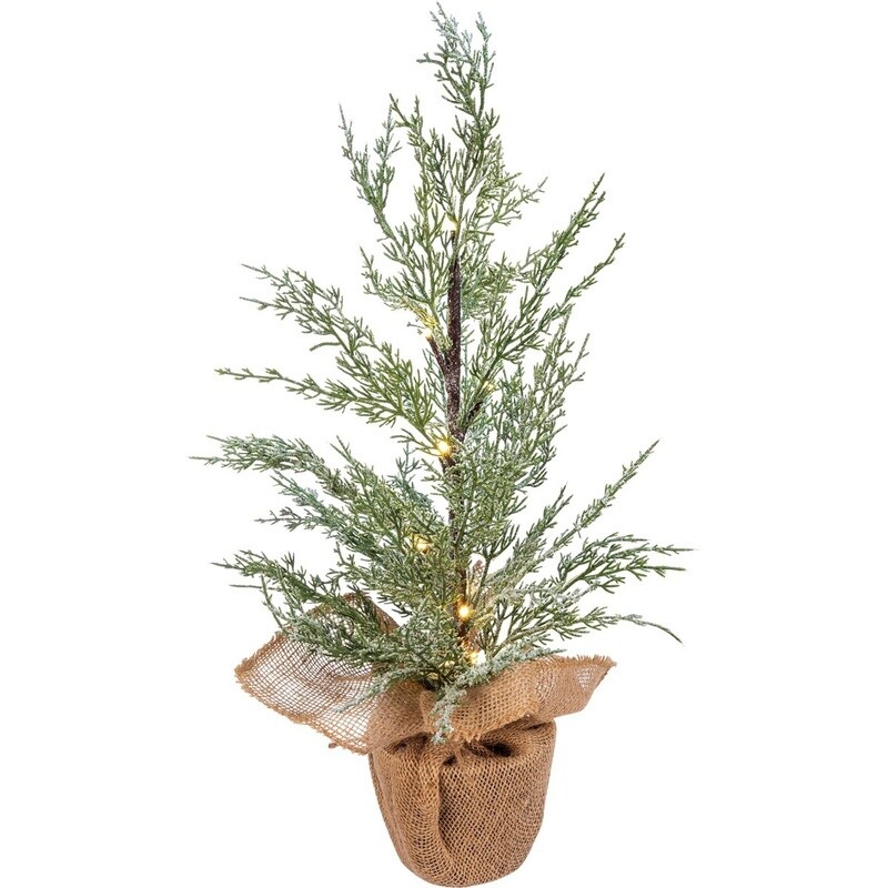Tree Med-Potted Cedar