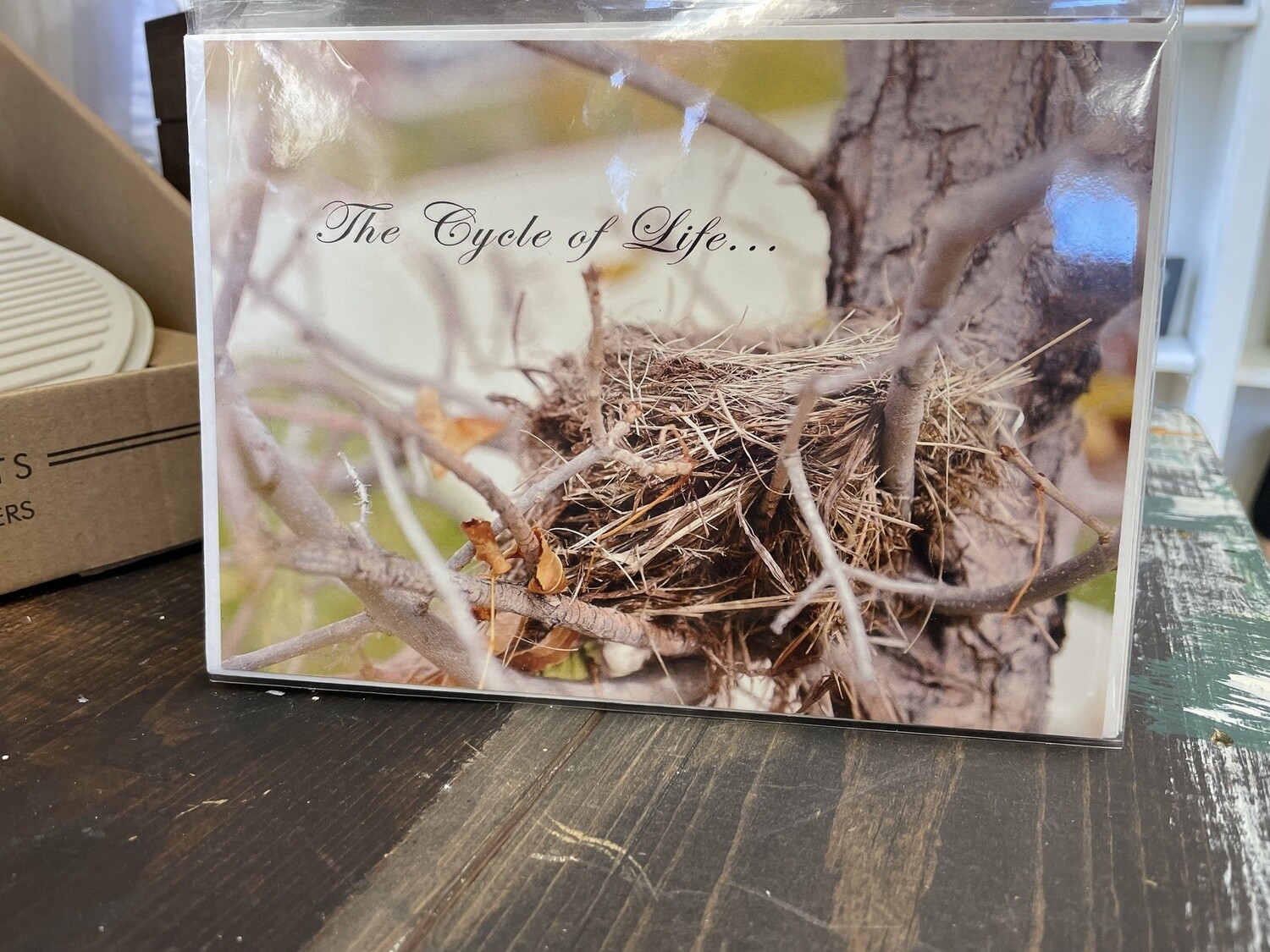Card: Cycle of Life