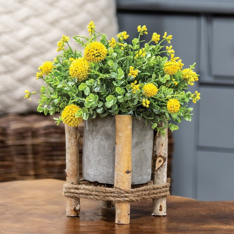 Mini Cement Planter in Wooden Frame