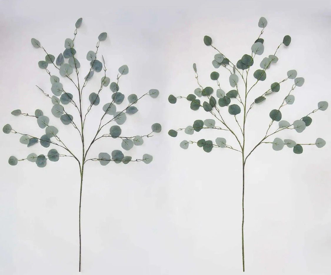 Eucalyptus Stem-6 bundle