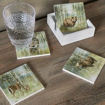 Coaster Set Woodland Animals