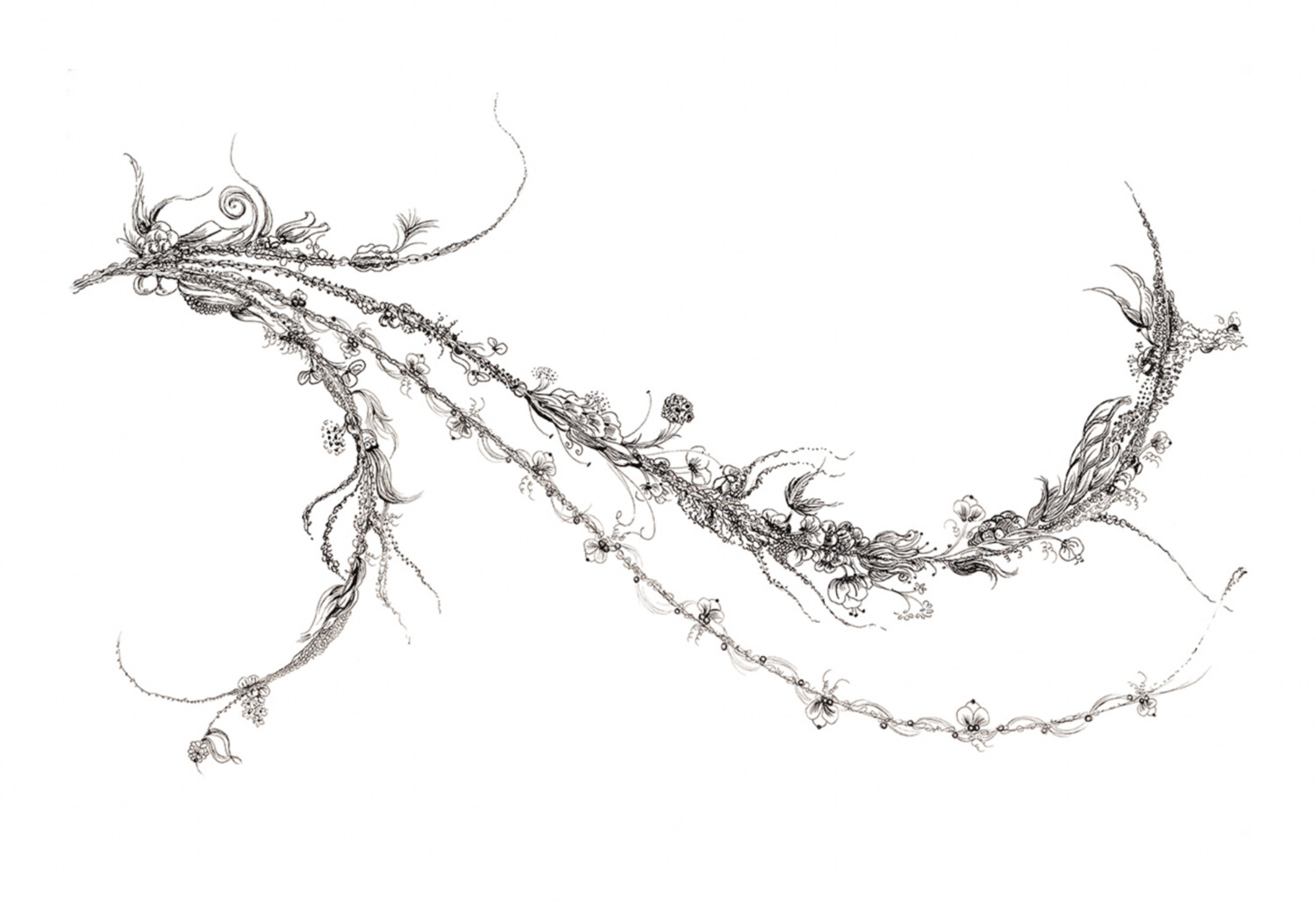 The Vine ~ 2
