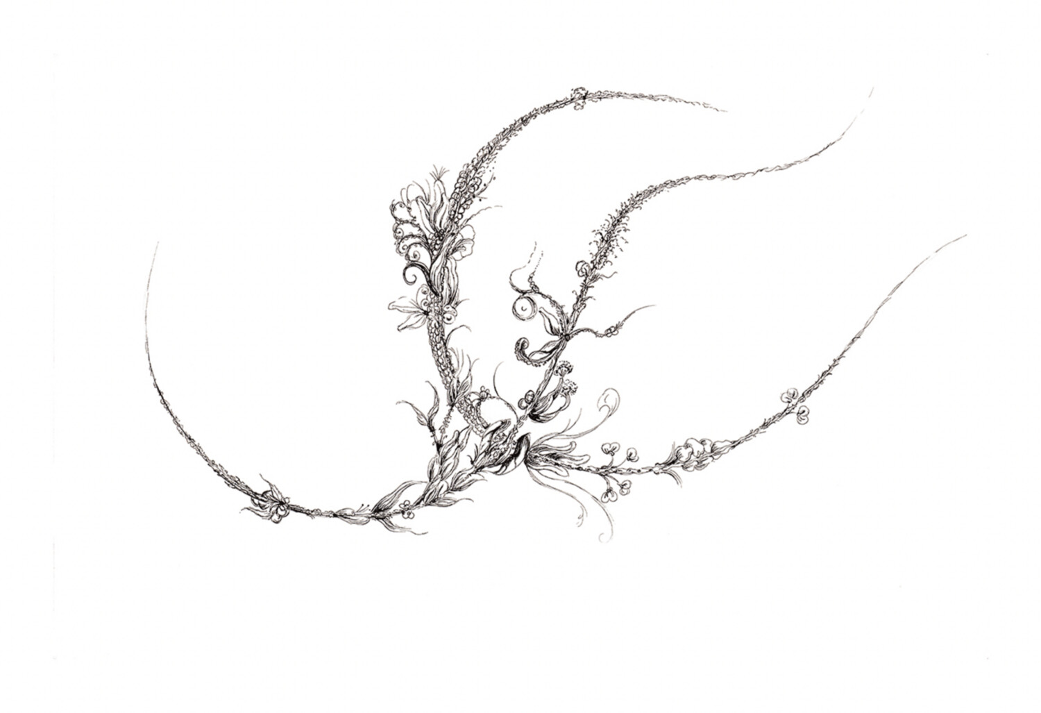 The Vine ~ 1