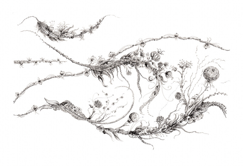 The Vine ~ 3