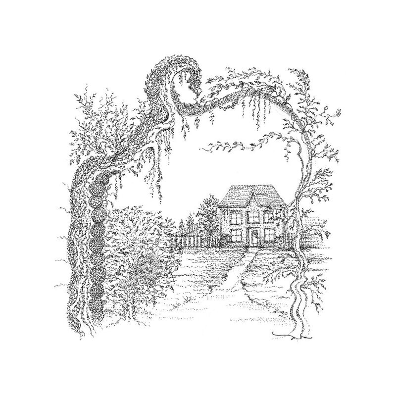 House in The Vines