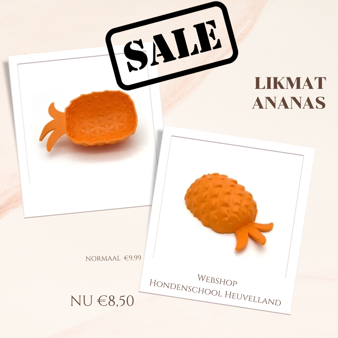 SALE Likmaat ananas