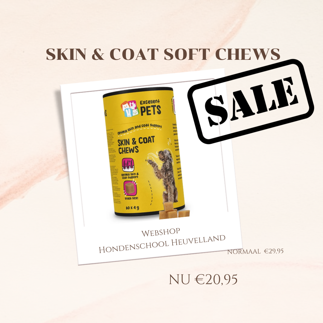 SALE Skin en coat soft chews