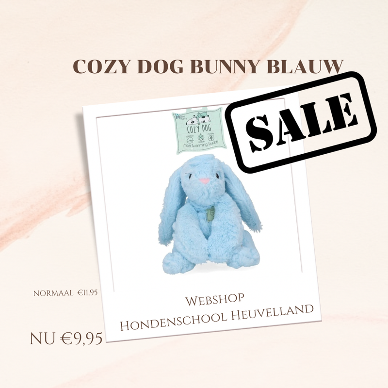 SALE Blue bunny