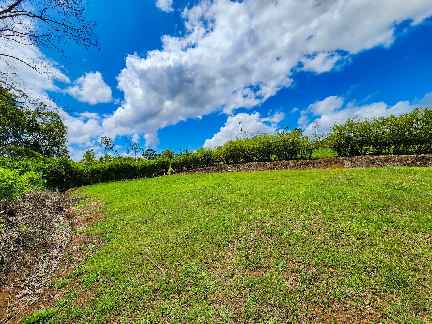 Lote 04 - Quintas Octequi