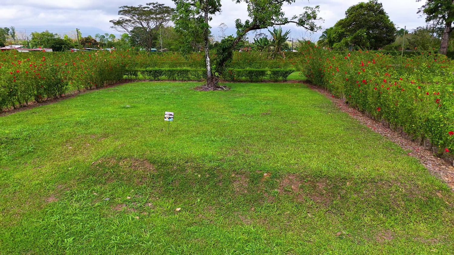 Condominio Perla I Lote 55 - Perla I Condominium Property 55 Condominio Perla I Lote 55 - Perla I Condominium Property 55