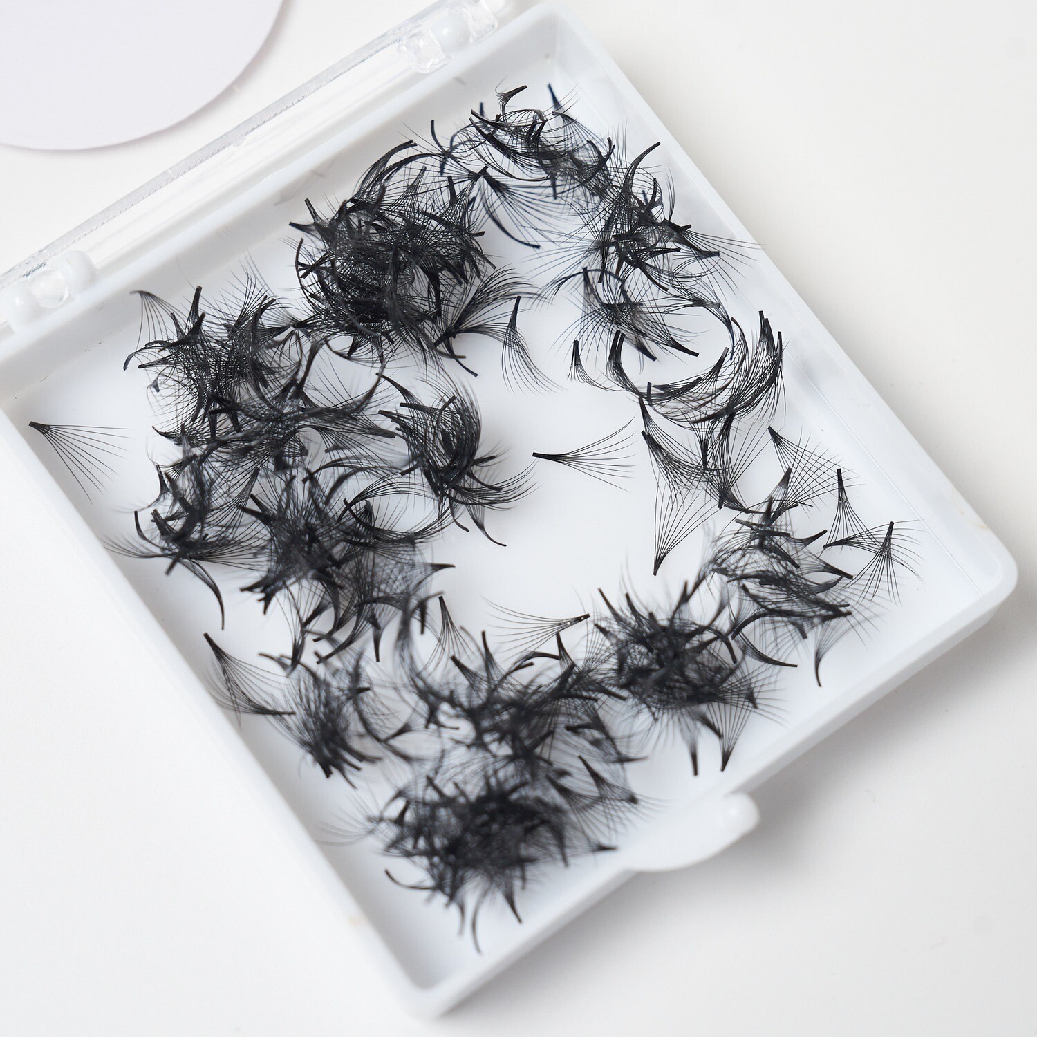 Promade Fans: 9D D Curl 0.05mm (500)