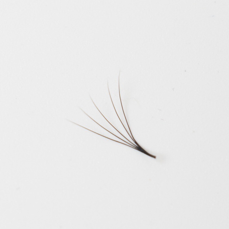 Promade Fans: 5D C Curl  0.07mm(500)